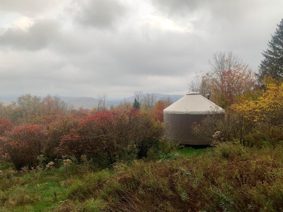 Hotel Livingston Manor Yurt Parksville Zewnętrze zdjęcie
