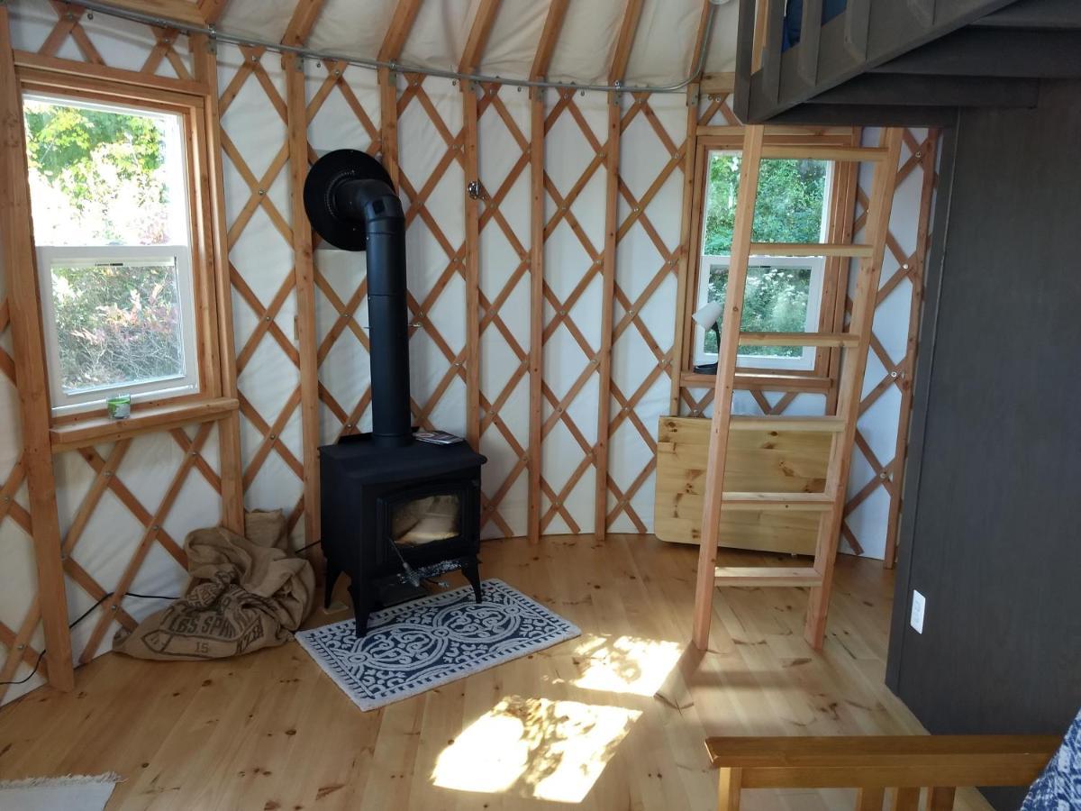 Hotel Livingston Manor Yurt Parksville Zewnętrze zdjęcie