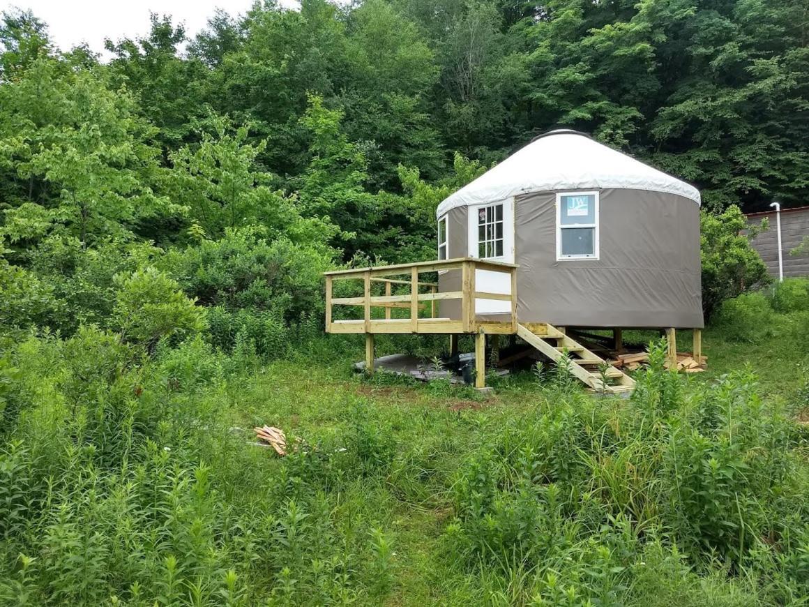 Hotel Livingston Manor Yurt Parksville Zewnętrze zdjęcie